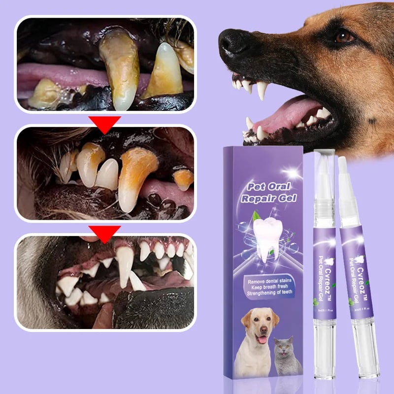 🐕Hot Sale 49% OFF🐾🌈Pet Oral Repair Gel🐶✨