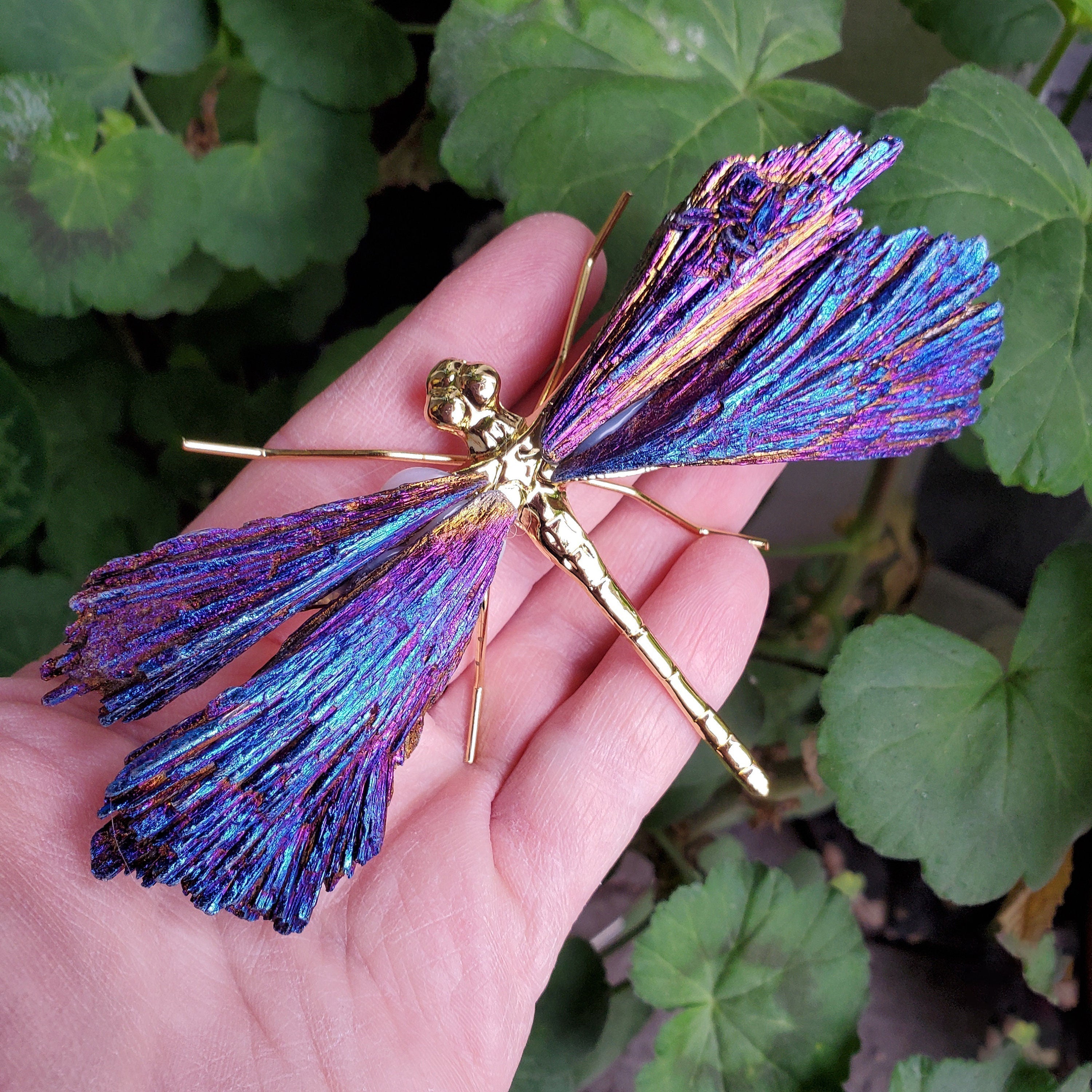 Aura Tourmaline Kyanite Dragonfly