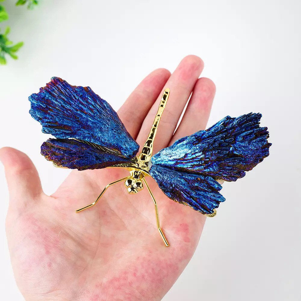 Aura Tourmaline Kyanite Dragonfly