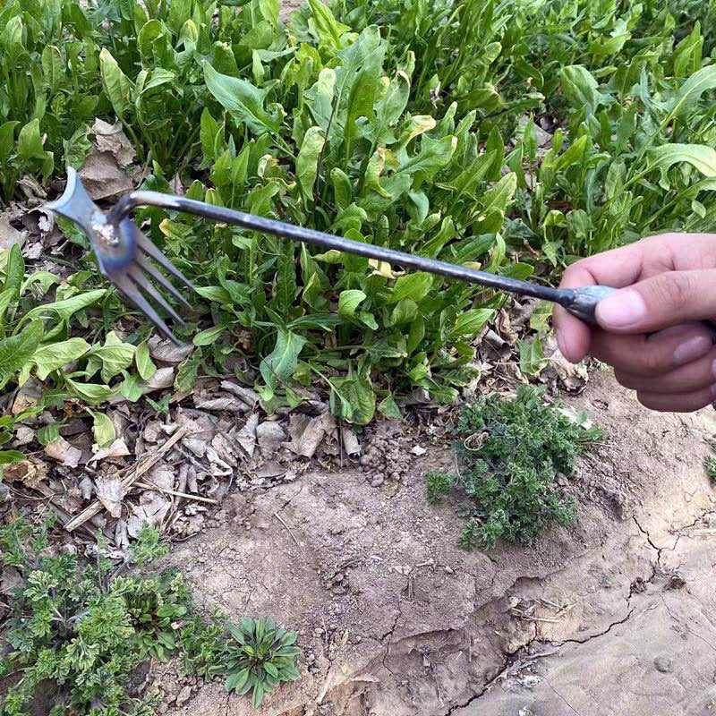 👍️BUY 1 GET 1 FREE👍️Gardening Hand Weeder Tools