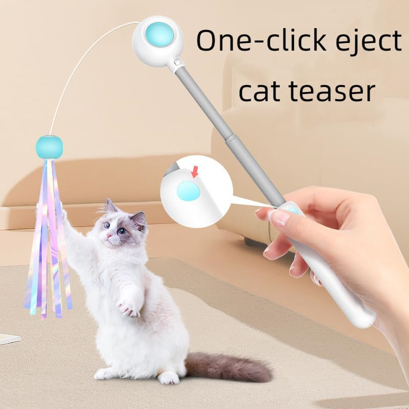 Interactive Retractable Cat Wand Toy